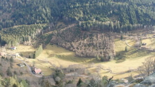 Vue depuis Les roches du Valtin - sublime! A 20 minutes à pied (mais cela grimpe :-) ) Les roches du Valtin