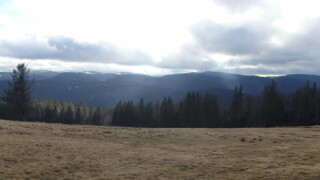 vue sur le Honeck vue sur le Honeck